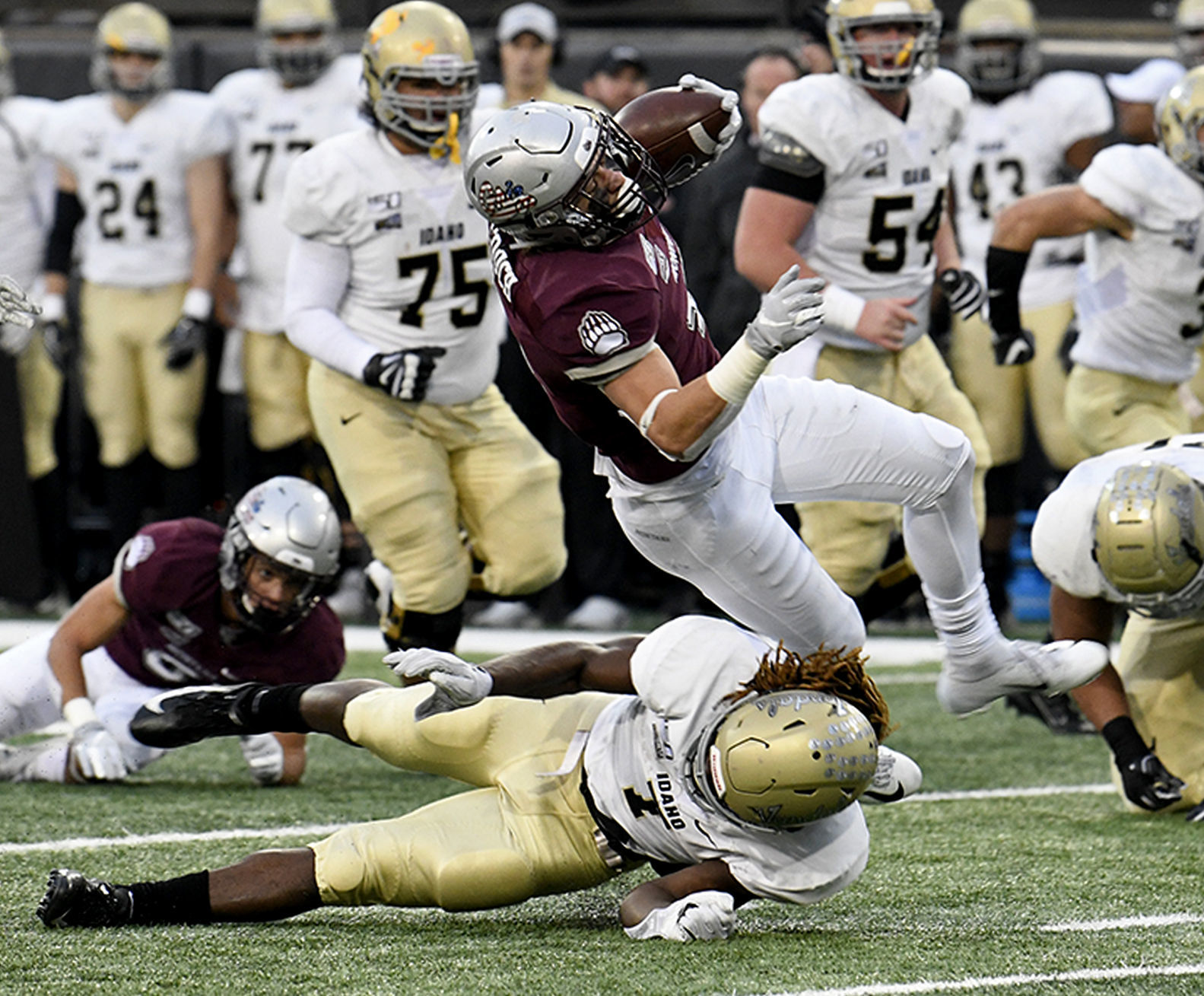 Montana vs Idaho Football 15.jpg